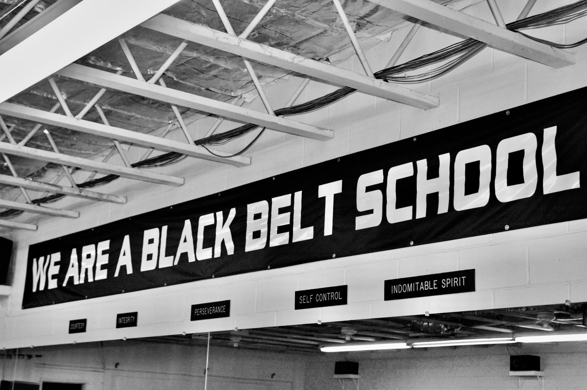 Black belt school banner